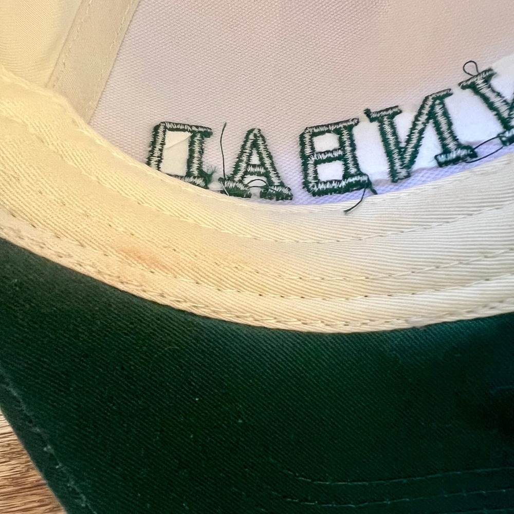 Snapback Hat Unisex OS Cream & Green "Downbad" Embroidered Trucker Cap - Picture 6 of 8